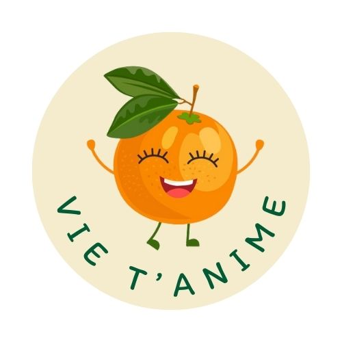 logotype_entrepreneur_virginie